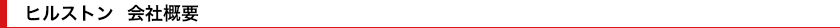 ヒルストン 会社概要